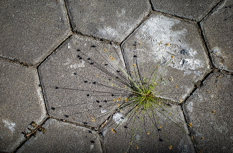 Plamy od betonu na kostce brukowej